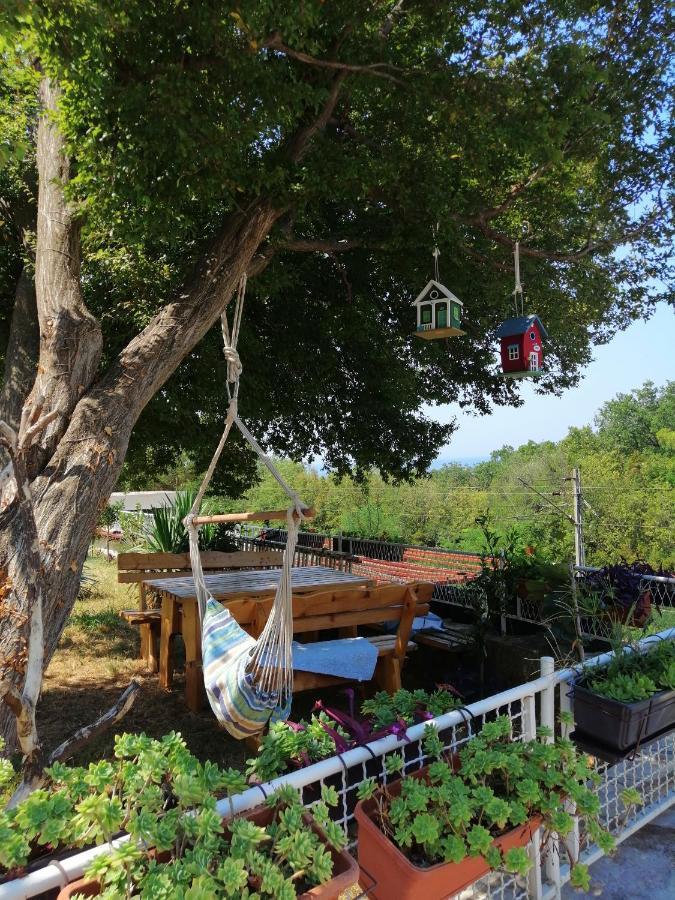 Villa Marko Sutomore Dış mekan fotoğraf
